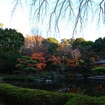 平塚総合公園18