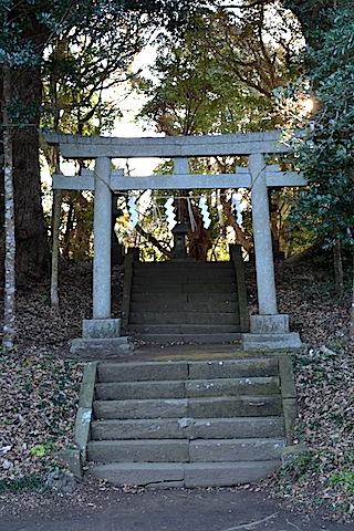 玉崎神社05