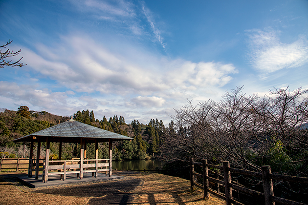 亀山湖15